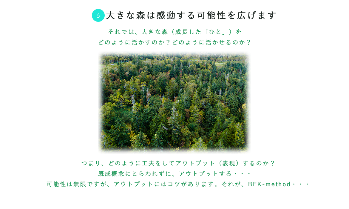 ⑥大きな森は感動する可能性を広げます！
